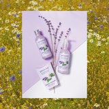 BodyRenew Body Moisturizer - Jasmine & Lavender